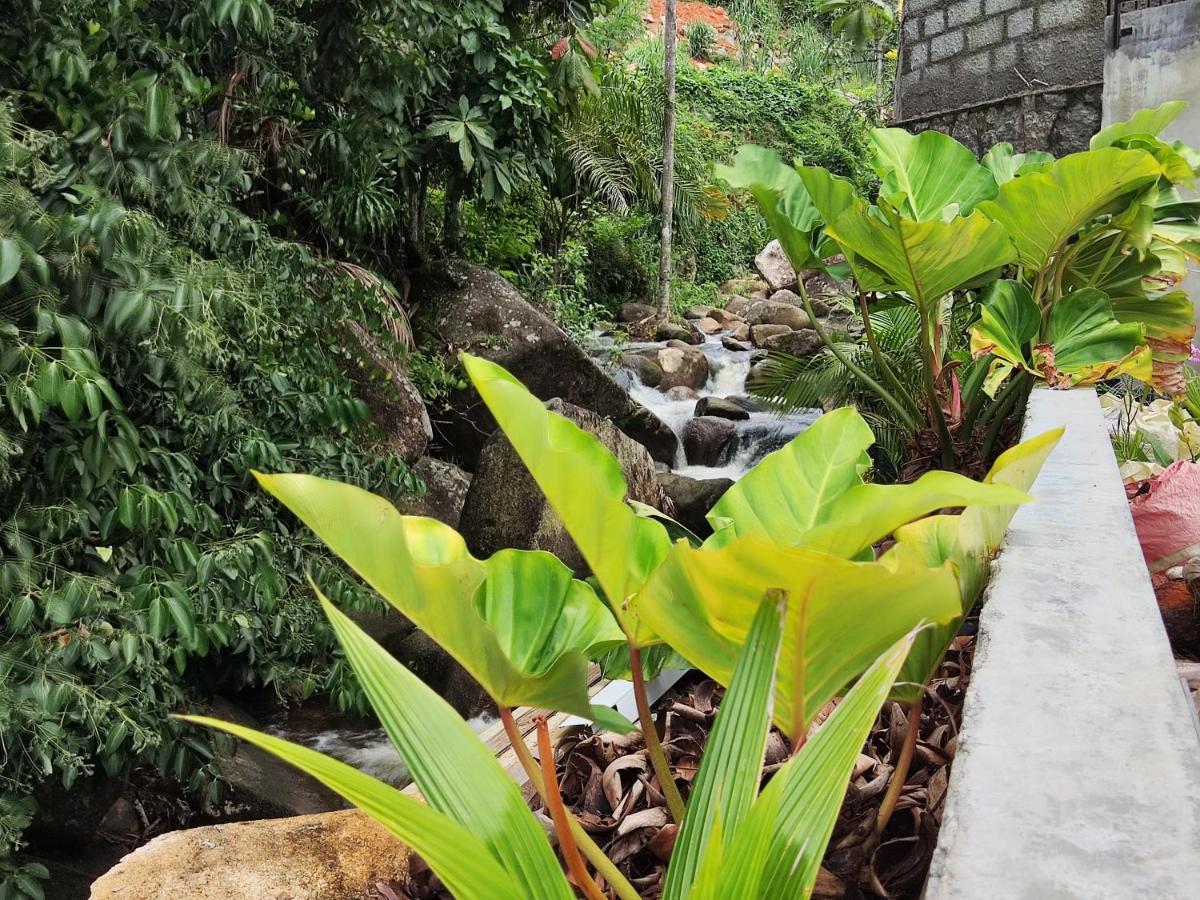 Riverside Mount Simpson - Seychelles Island Beau Vallon  Extérieur photo