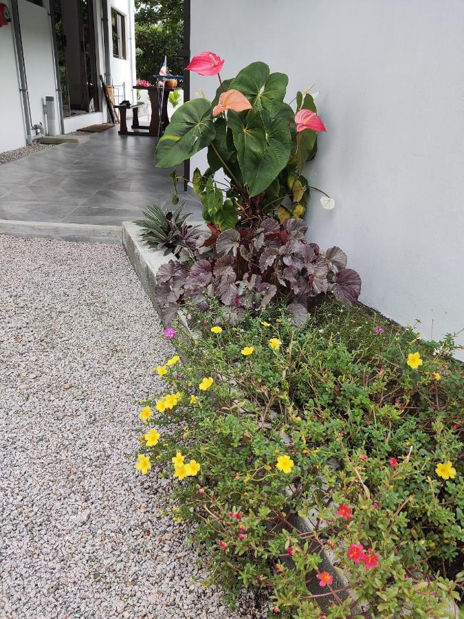 Riverside Mount Simpson - Seychelles Island Beau Vallon  Extérieur photo